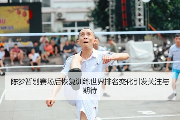 陈梦暂别赛场后恢复训练世界排名变化引发关注与期待